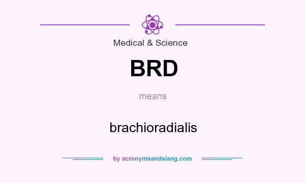 What does BRD mean? It stands for brachioradialis