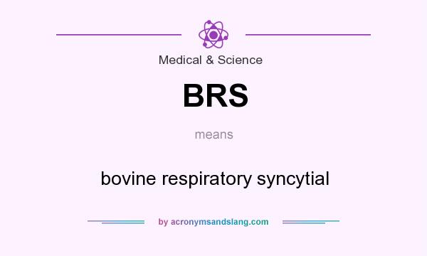 What does BRS mean? It stands for bovine respiratory syncytial