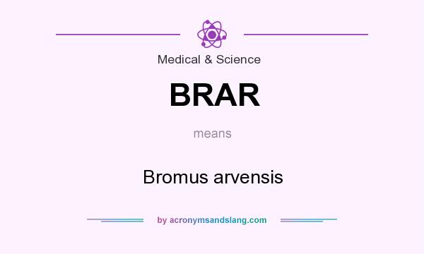 What does BRAR mean? It stands for Bromus arvensis