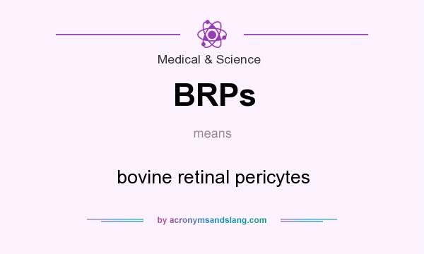 What does BRPs mean? It stands for bovine retinal pericytes