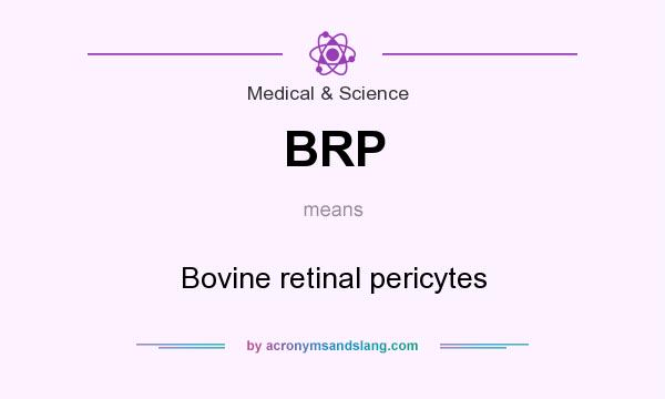 What does BRP mean? It stands for Bovine retinal pericytes