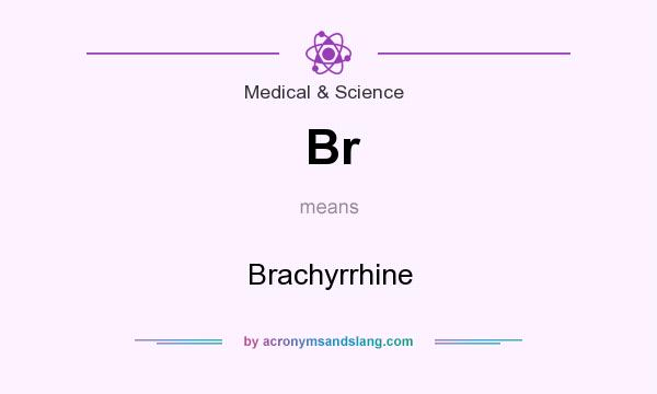 What does Br mean? It stands for Brachyrrhine