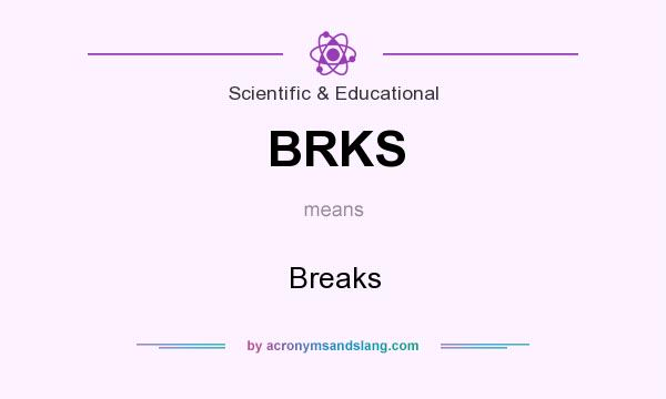 What does BRKS mean? It stands for Breaks