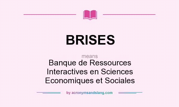 What does BRISES mean? It stands for Banque de Ressources Interactives en Sciences Economiques et Sociales