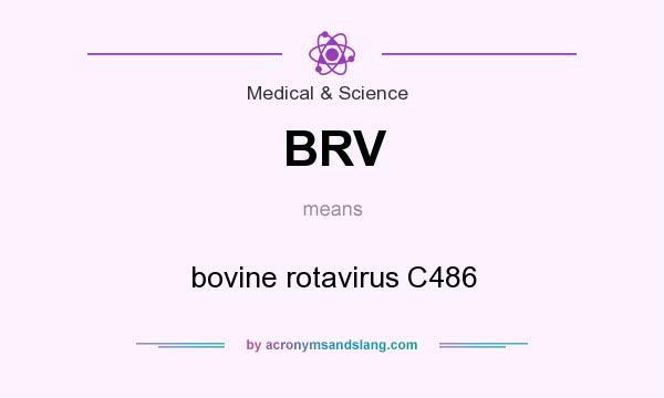 What does BRV mean? It stands for bovine rotavirus C486