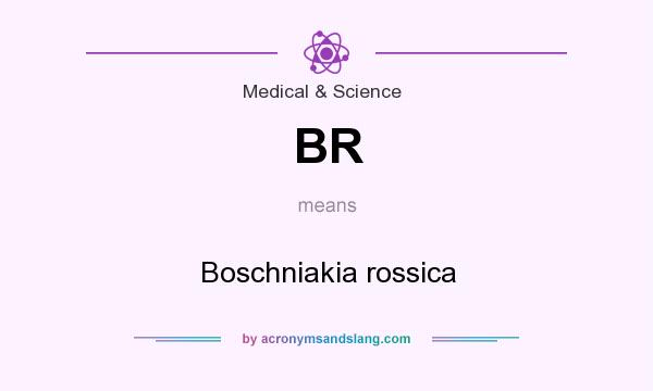What does BR mean? It stands for Boschniakia rossica