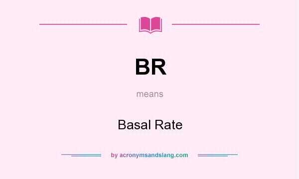 What does BR mean? It stands for Basal Rate