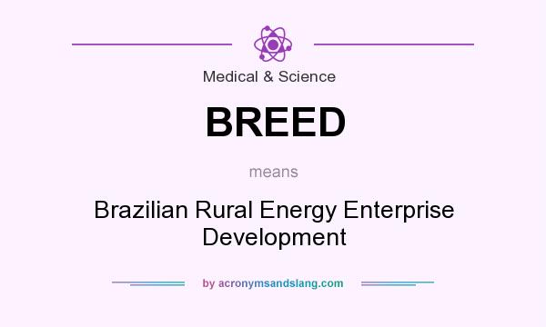 What does BREED mean? It stands for Brazilian Rural Energy Enterprise Development