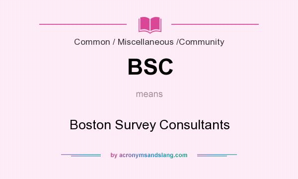 What does BSC mean? It stands for Boston Survey Consultants