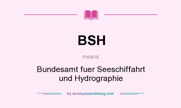 What does BSH mean? It stands for Bundesamt fuer Seeschiffahrt und Hydrographie