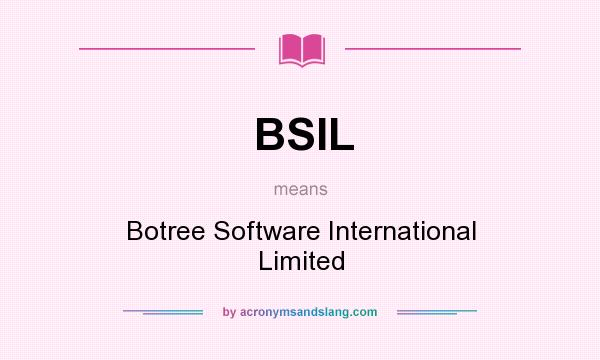 What does BSIL mean? It stands for Botree Software International Limited