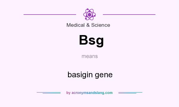 What does Bsg mean? It stands for basigin gene