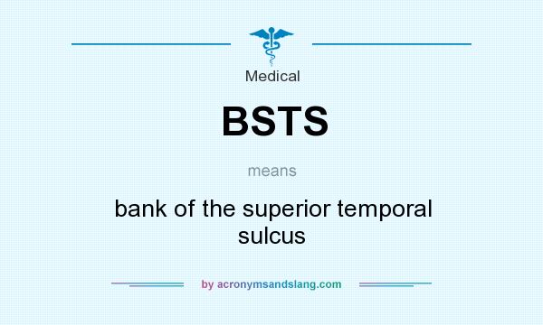 What does BSTS mean? It stands for bank of the superior temporal sulcus