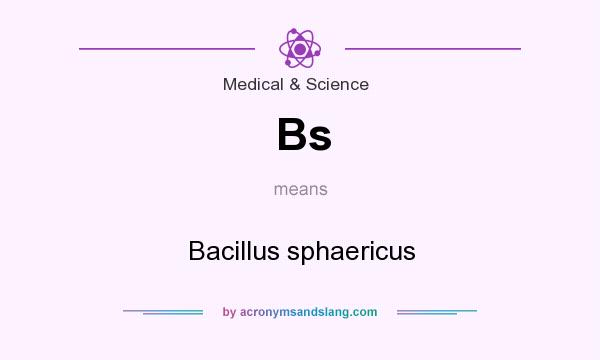 What does Bs mean? It stands for Bacillus sphaericus