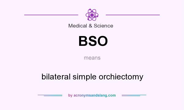 What does BSO mean? It stands for bilateral simple orchiectomy