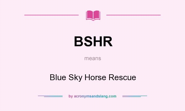 What does BSHR mean? It stands for Blue Sky Horse Rescue