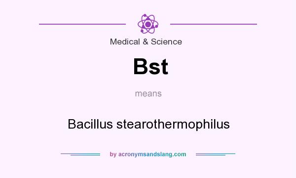 What does Bst mean? It stands for Bacillus stearothermophilus
