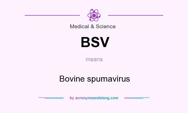 What does BSV mean? It stands for Bovine spumavirus