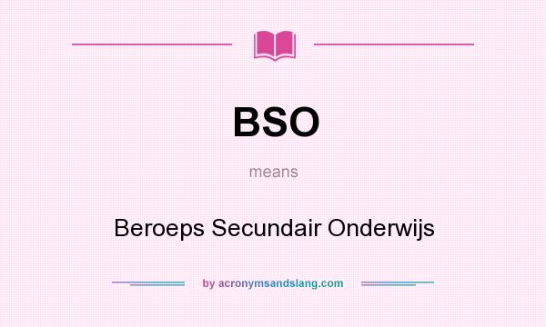 What does BSO mean? It stands for Beroeps Secundair Onderwijs