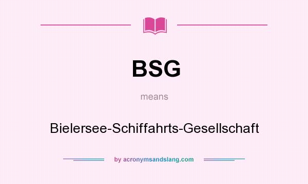 What does BSG mean? It stands for Bielersee-Schiffahrts-Gesellschaft