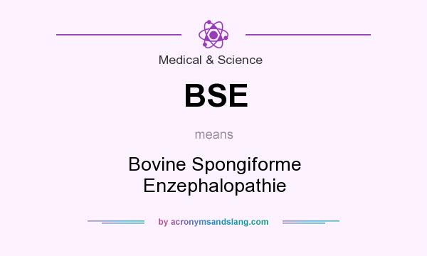 What does BSE mean? It stands for Bovine Spongiforme Enzephalopathie