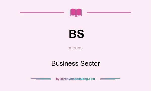 What does BS mean? It stands for Business Sector