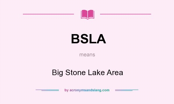 What does BSLA mean? It stands for Big Stone Lake Area