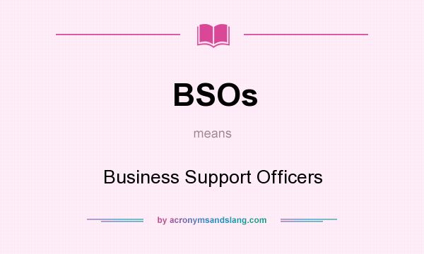 What does BSOs mean? It stands for Business Support Officers