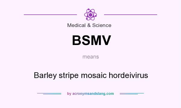 What does BSMV mean? It stands for Barley stripe mosaic hordeivirus
