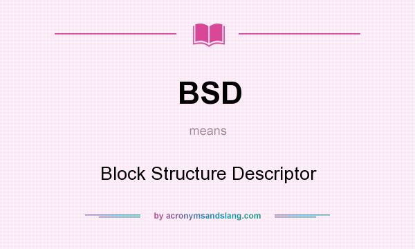 What does BSD mean? It stands for Block Structure Descriptor