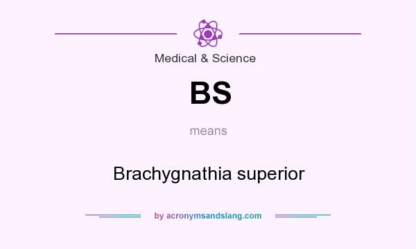 What does BS mean? It stands for Brachygnathia superior
