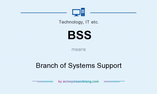 What does BSS mean? It stands for Branch of Systems Support
