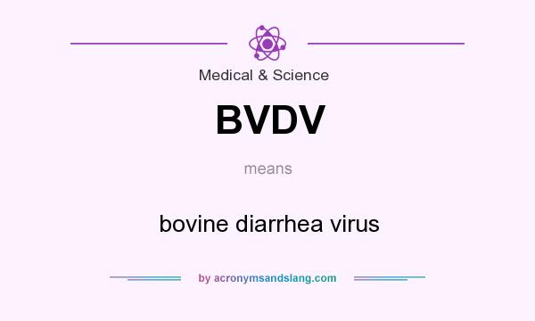 What does BVDV mean? It stands for bovine diarrhea virus