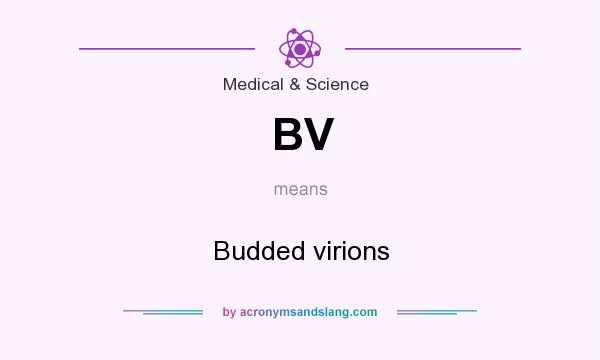 What does BV mean? It stands for Budded virions