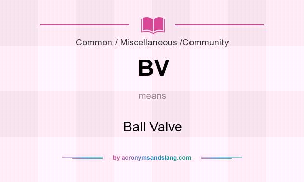 What does BV mean? It stands for Ball Valve