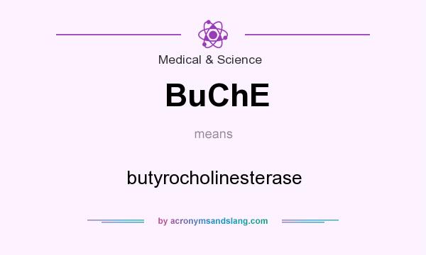 What does BuChE mean? It stands for butyrocholinesterase