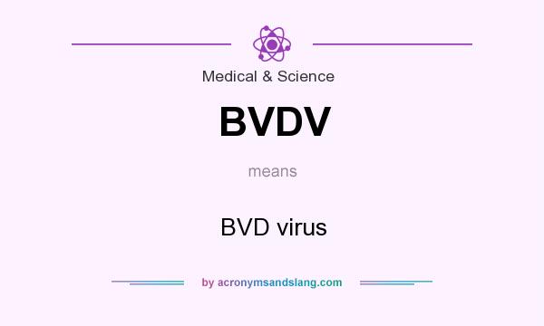 What does BVDV mean? It stands for BVD virus