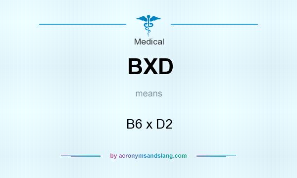 What does BXD mean? It stands for B6 x D2