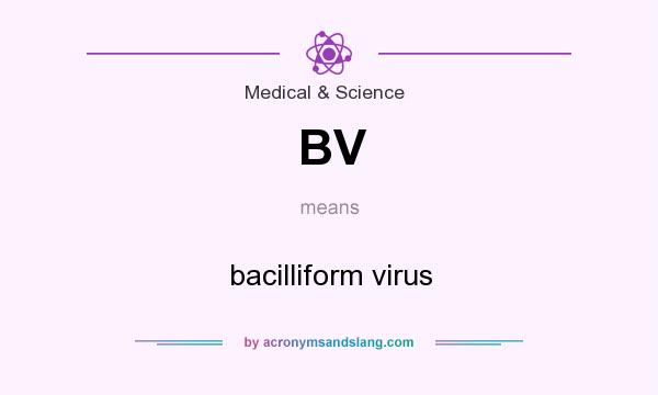 What does BV mean? It stands for bacilliform virus