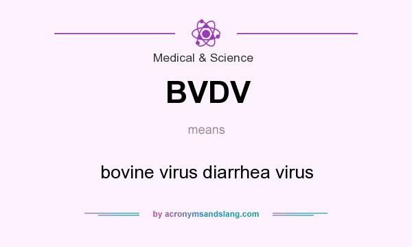What does BVDV mean? It stands for bovine virus diarrhea virus