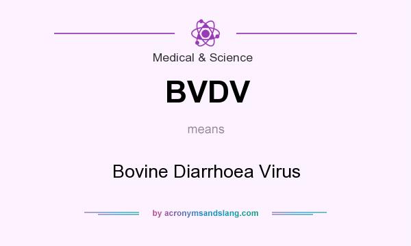 What does BVDV mean? It stands for Bovine Diarrhoea Virus