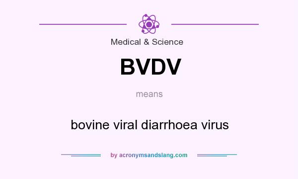What does BVDV mean? It stands for bovine viral diarrhoea virus