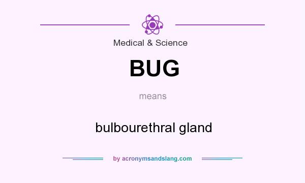 What does BUG mean? It stands for bulbourethral gland