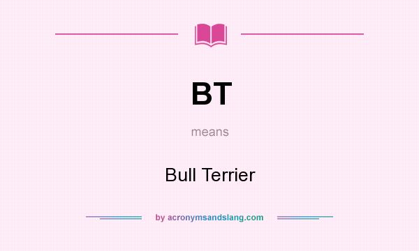 What does BT mean? It stands for Bull Terrier