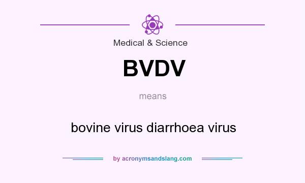 What does BVDV mean? It stands for bovine virus diarrhoea virus