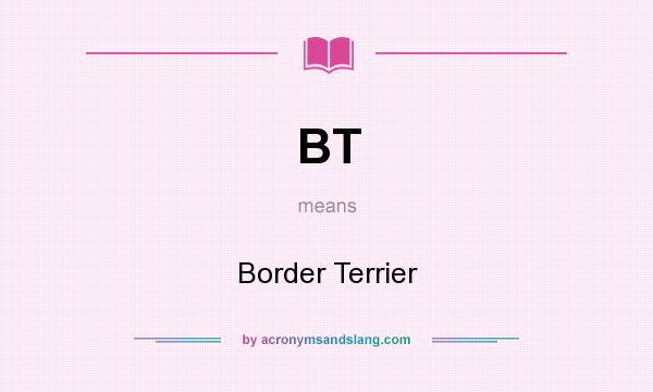 What does BT mean? It stands for Border Terrier