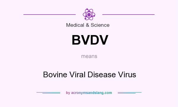 What does BVDV mean? It stands for Bovine Viral Disease Virus