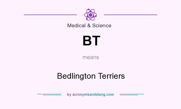 What does BT mean? It stands for Bedlington Terriers