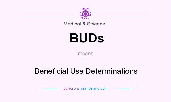 What does BUDs mean? It stands for Beneficial Use Determinations