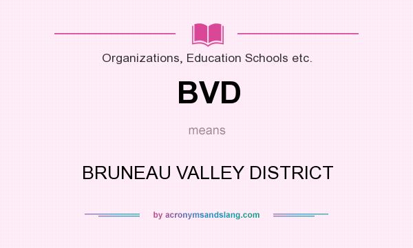 What does BVD mean? It stands for BRUNEAU VALLEY DISTRICT